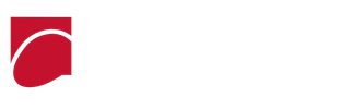 Chipin Logo